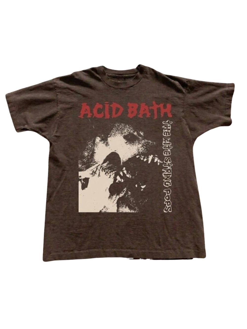 Gildan Brown Graphic Tee - Band Shirt
